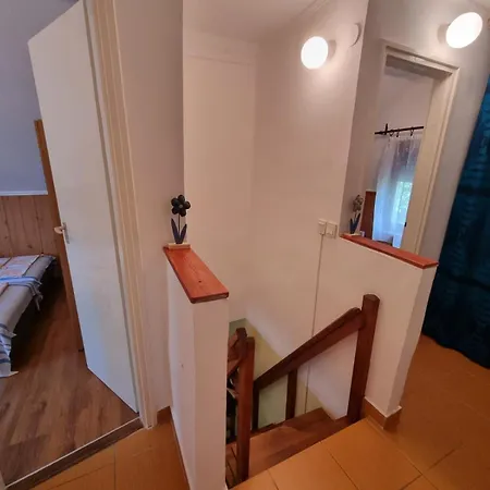 Dom wakacyjny Szatmari Vendeghaz *